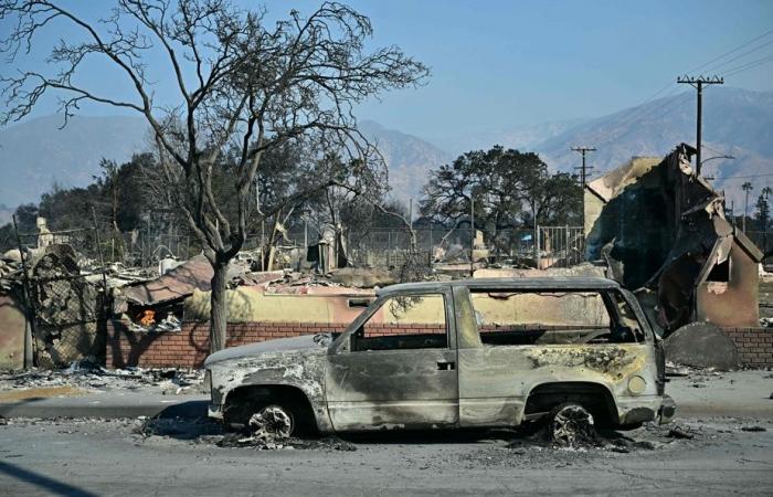 Fires in Los Angeles | The wind calms down, the criticisms multiply