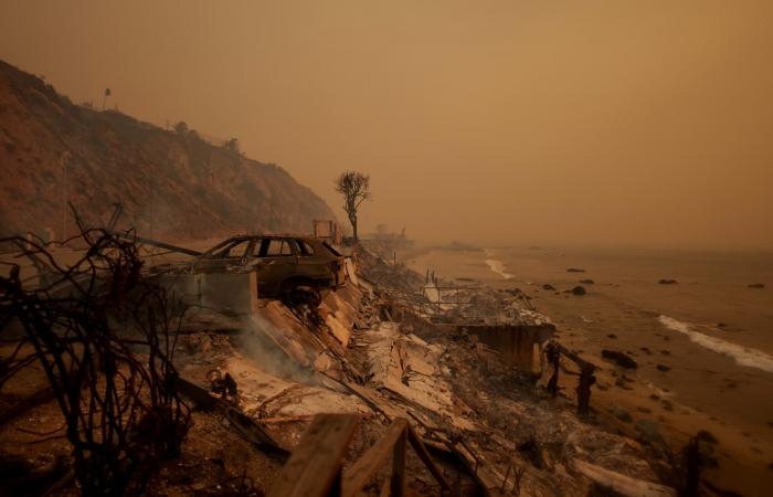 Hollywood, Malibu, Pacific Palisades… The apocalyptic images of the fires that ravaged Los Angeles