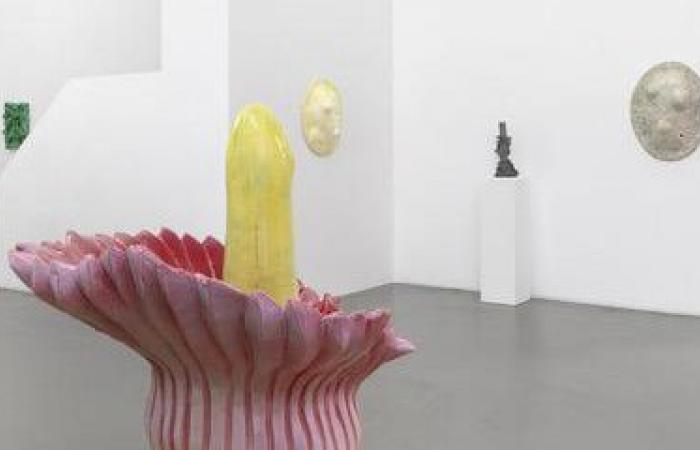 Genevoise Mai-Thu Perret exhibits at the Mezzanin gallery