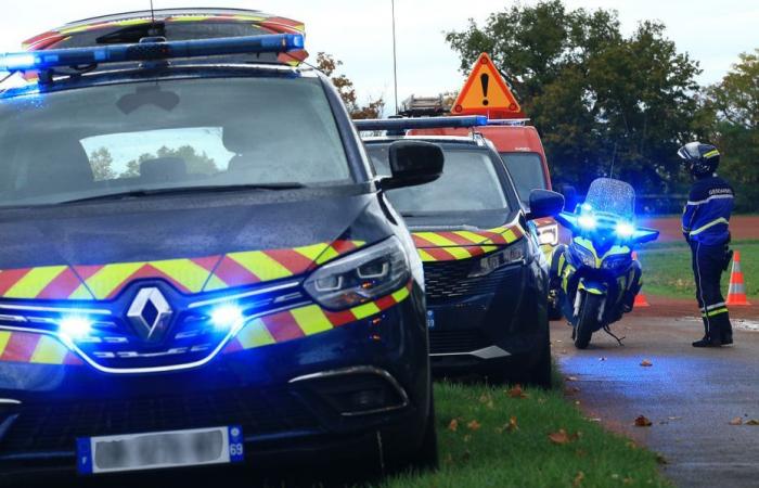 Police arrest driver with more than 6,000 bottles of strong alcohol near Briey