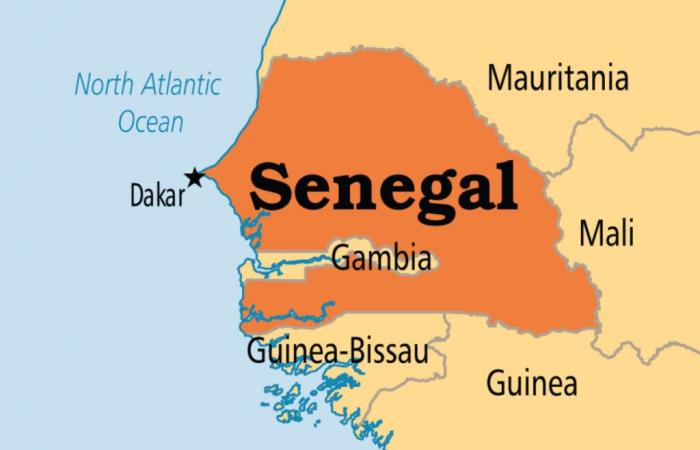 Senegal: these 3 national companies are in danger