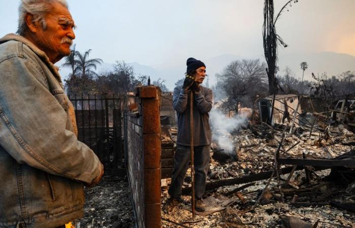 Fires in Los Angeles | The wind calms down, the criticisms multiply