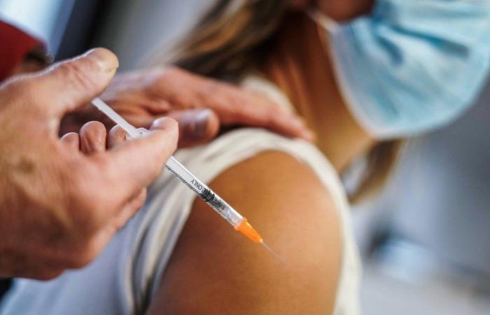 Flu epidemic: “Everyone can act by getting vaccinated”, the appeal from ARS Occitanie