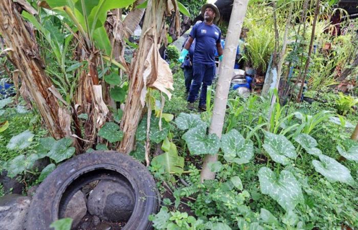 sensitive areas detected in Saint Pierre