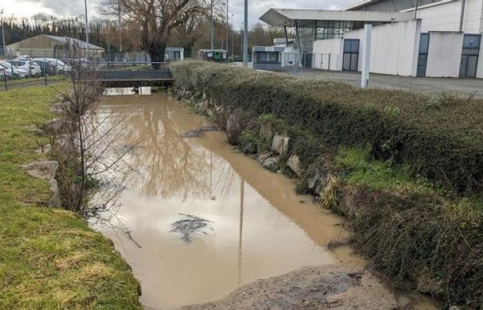 Impassable, the Jean-Bruck stadium in Dreux temporarily closes its doors