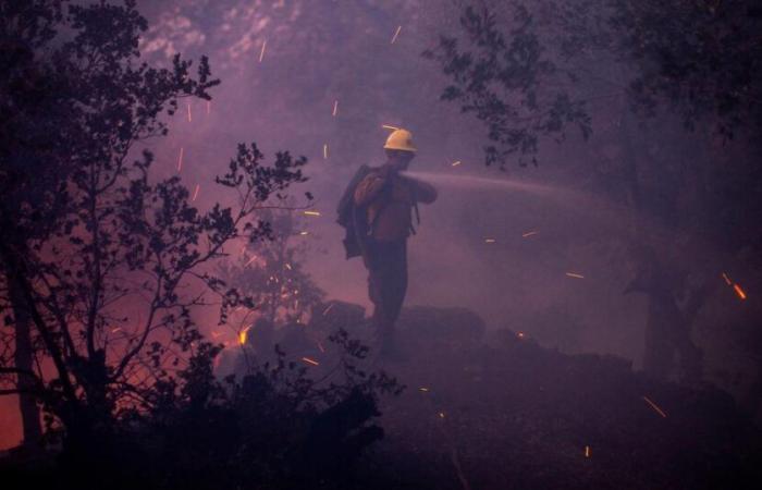 between flames and disinformation, panic overwhelms the City of Angels