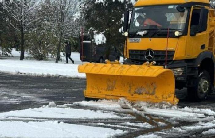 Wrexham Council’s gritting salt update amid snow and ice