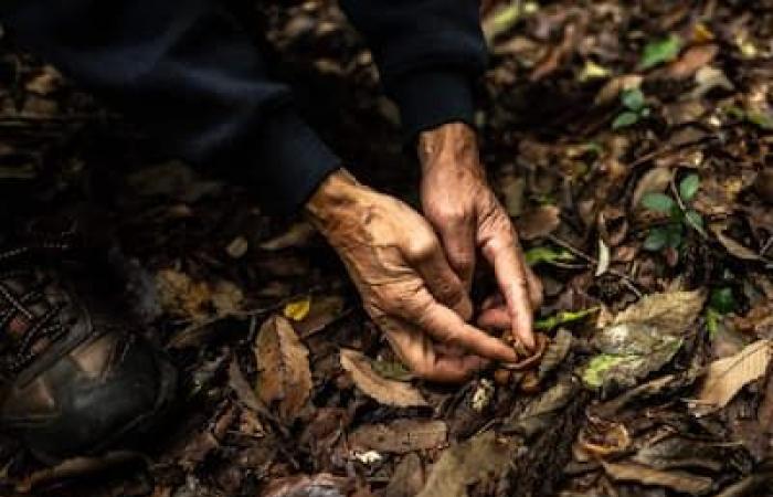 [PHOTOS] The Japanese “master of excrement” prides itself on directly feeding Mother Nature