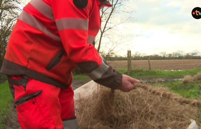 The Loire rises, the SNCF closes the flood gates for the safety of local residents