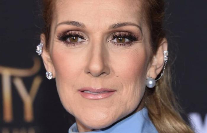 Los Angeles fires: Céline Dion mobilizes for the victims