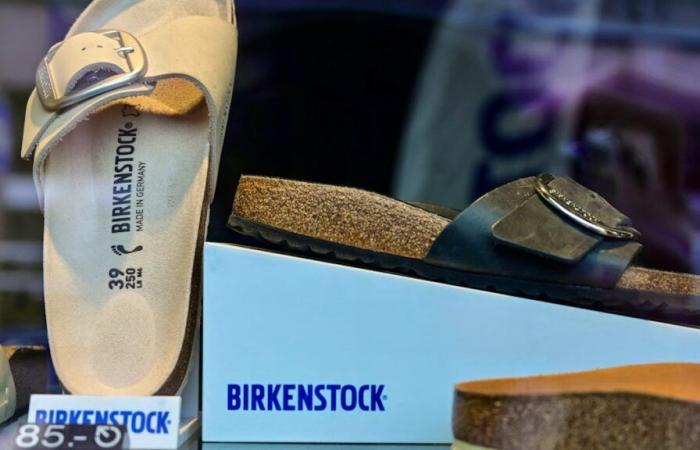 Birkenstock sues imitators for copyright infringement