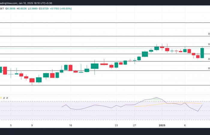 these altcoins are talking about them!