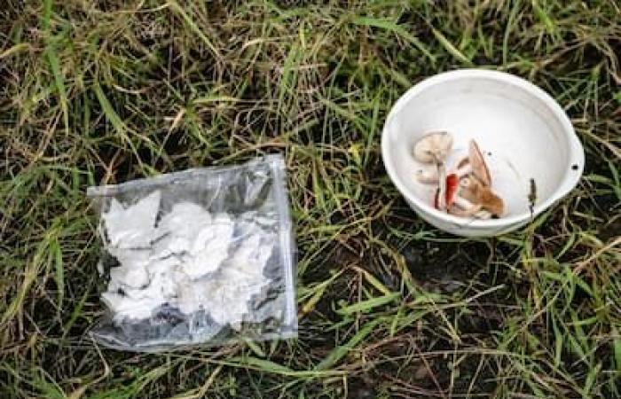 [PHOTOS] The Japanese “master of excrement” prides itself on directly feeding Mother Nature