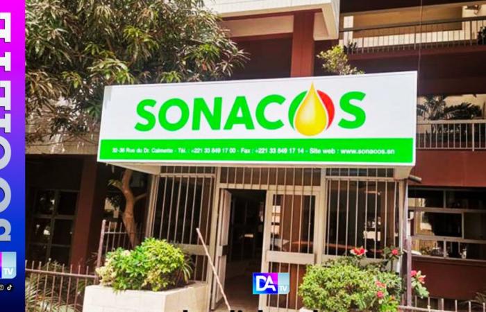 Theft or Sabotage? The Mystery of the Burglary at Sonacos