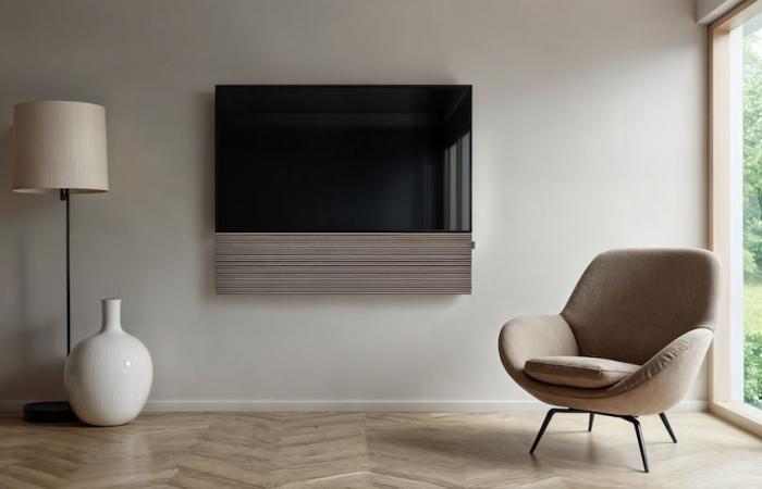 Canvas Hifi at CES 2025: designer high-fidelity sound for your audiovisual installations