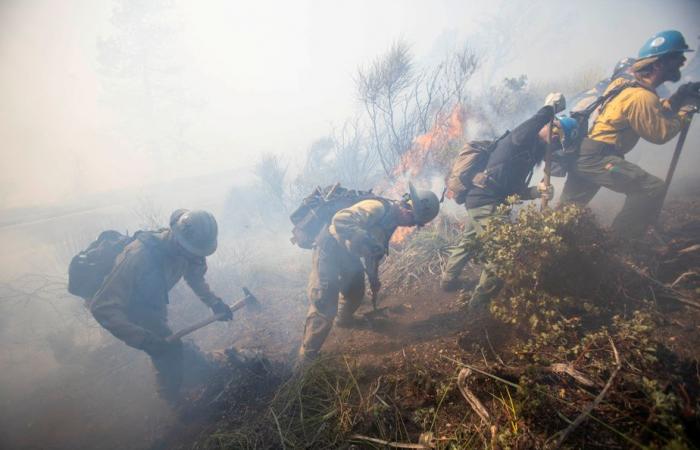 Los Angeles | Fires still untamed, death toll rises to ten