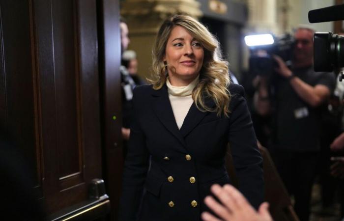 Mélanie Joly is not entering the race for leadership of the Liberal Party of Canada