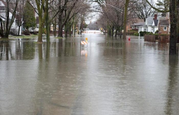 Floods and floods: a very wet start to January but a clear improvement in the coming days