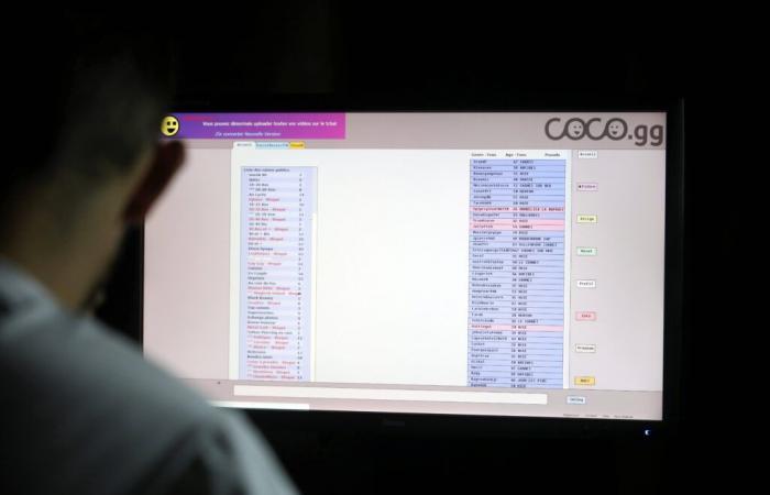 He was indicted this Thursday: who is Isaac Steidl, this Var entrepreneur and founder of the controversial Coco platform, used by Dominique Pelicot?