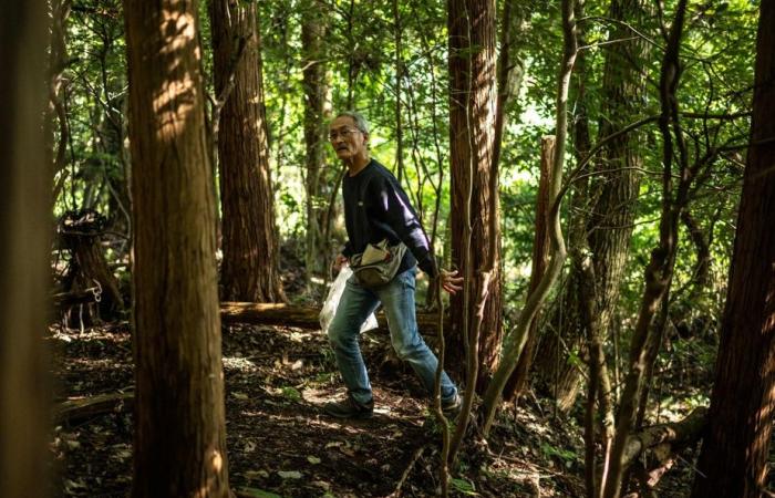 Japan | The “master of excrement” proud to directly feed Mother Nature