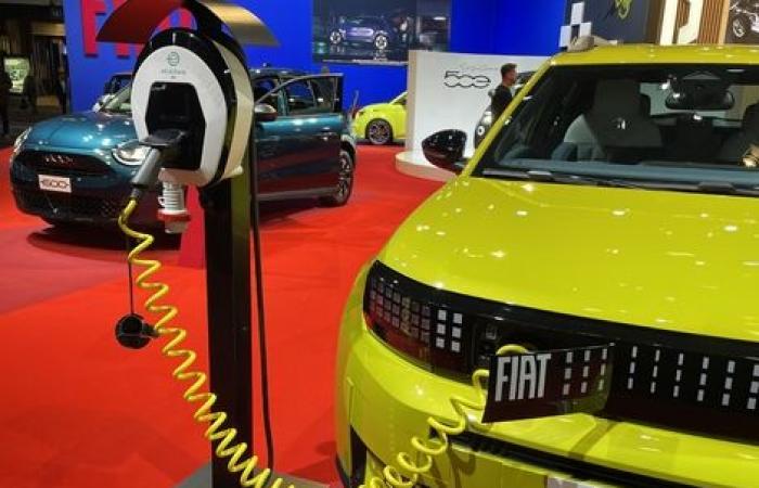 The Fiat Grande Panda is a star at the Brussels Motor Show