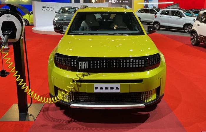 The Fiat Grande Panda is a star at the Brussels Motor Show