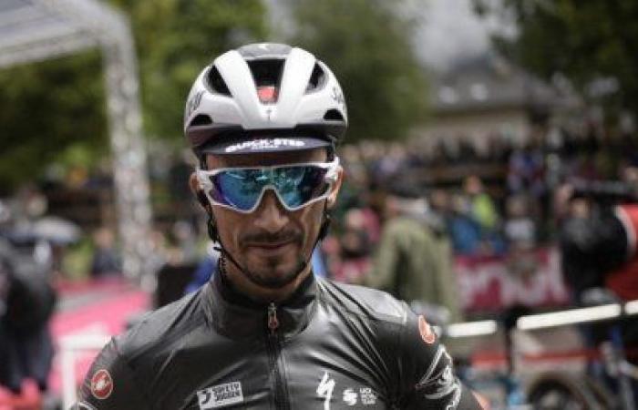 Tudor: What salary for Alaphilippe?