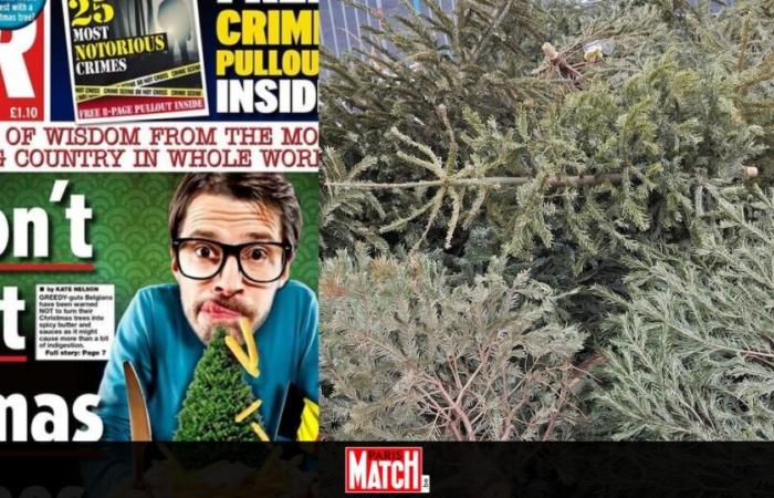 Belgium becomes the laughing stock of the world’s media after the city of Ghent proposes to eat its Christmas tree