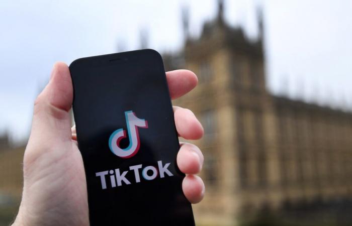 TikTok accumulates users and setbacks