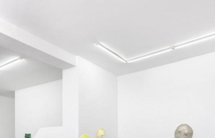 Genevoise Mai-Thu Perret exhibits at the Mezzanin gallery