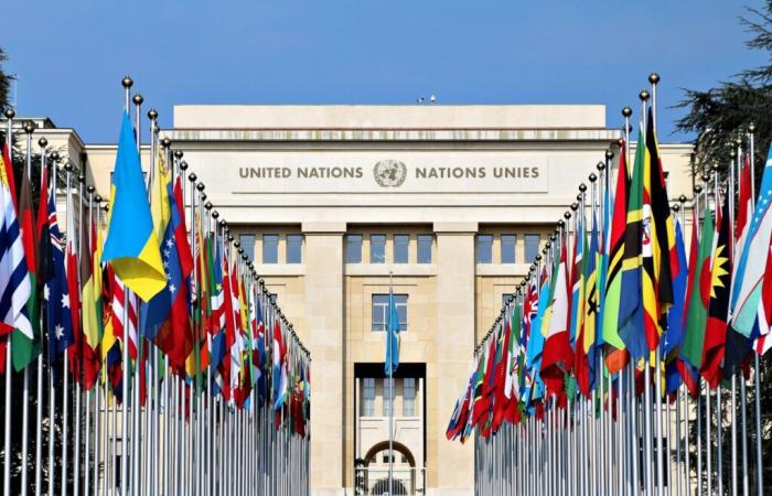 the United Nations predicts 2.8% in 2025