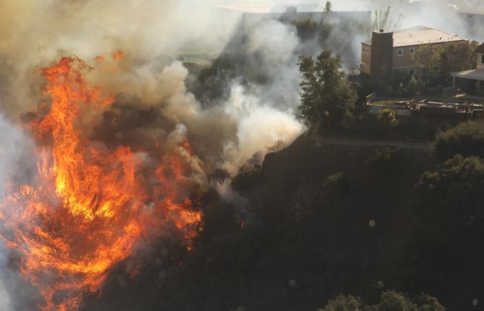 Hollywood, Malibu, Pacific Palisades… The apocalyptic images of the fires that ravaged Los Angeles