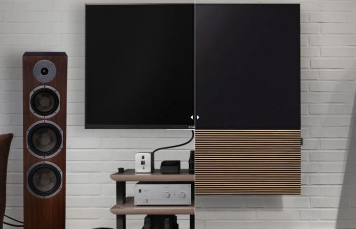 Canvas Hifi at CES 2025: designer high-fidelity sound for your audiovisual installations