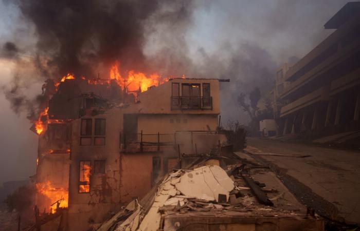 Hollywood, Malibu, Pacific Palisades… The apocalyptic images of the fires that ravaged Los Angeles