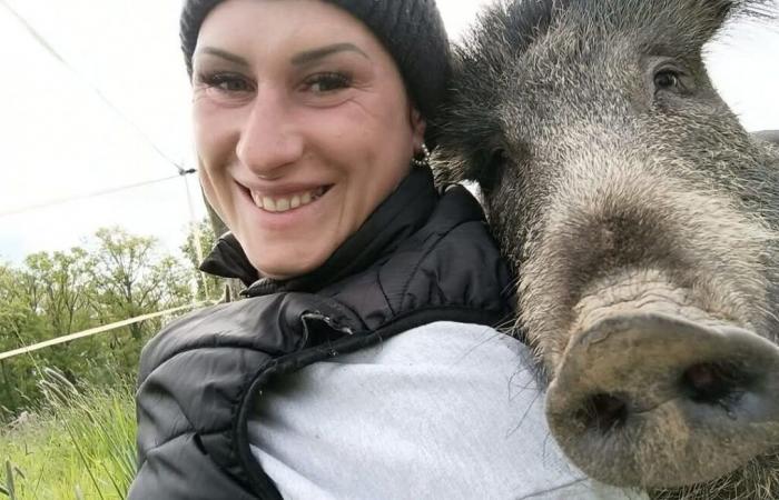 “We have a bond”… Elodie’s fight to keep her wild boar at home