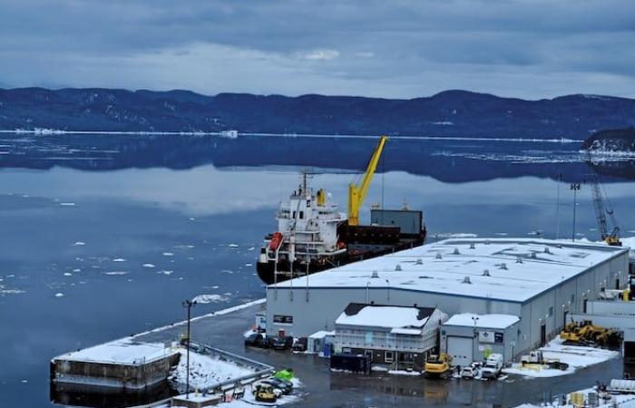 Norwegian company Vianode interested in Port Saguenay