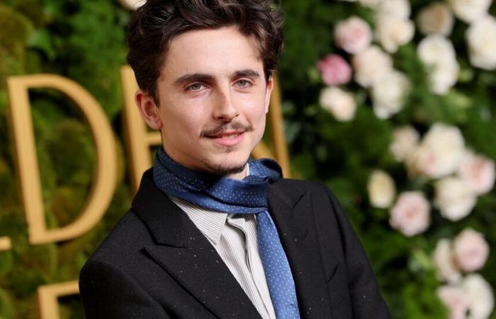 Timothée Chalamet Will Be Both Host and Musical Guest on ‘S.N.L.’