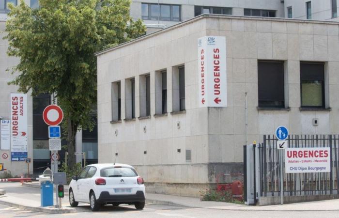 HEALTH: The Dijon Bourgogne University Hospital is organizing in the face of the flu epidemic