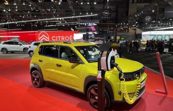 The Fiat Grande Panda is a star at the Brussels Motor Show