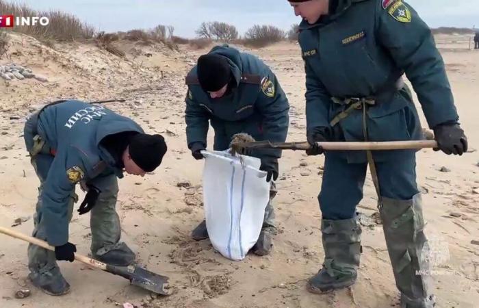 Russia: oil spill worsens after new leak detected in one of the stranded tankers