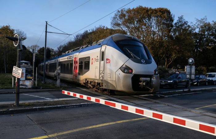 SNCF traffic at a standstill between Lyon, Grenoble and Chambéry