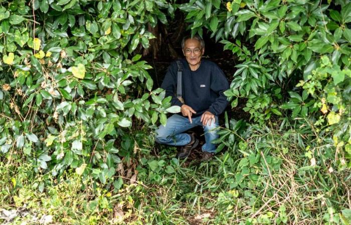 Japan | The “master of excrement” proud to directly feed Mother Nature