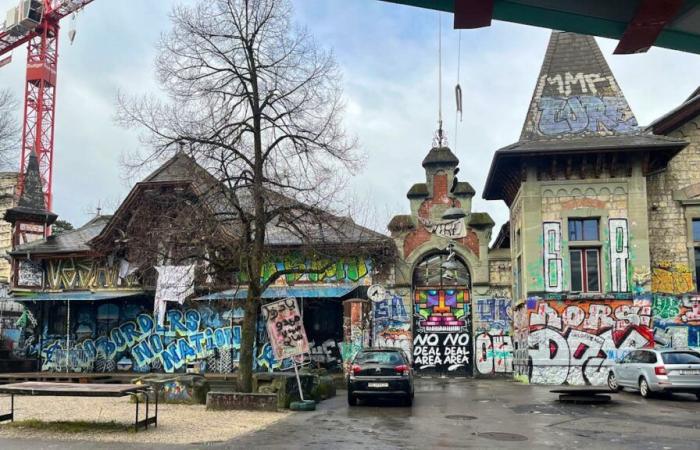 Bern riding school: fingers chopped off, police blocked