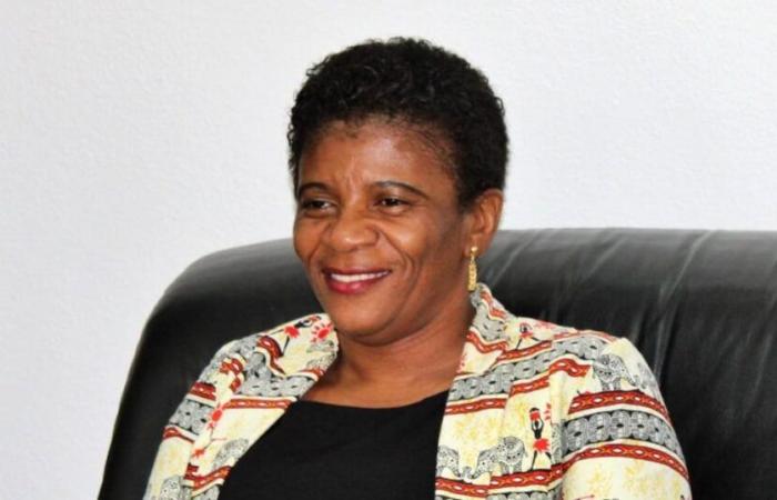 Sao Tome and Principe: the president appoints a new Prime Minister