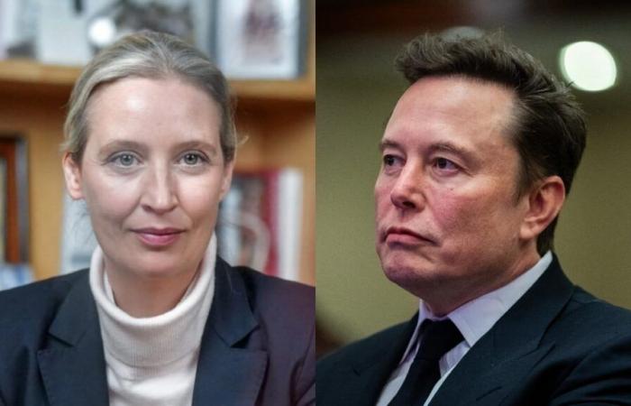 From Hitler to Martians, the mind-blowing exchange between Elon Musk and the leader of the German far right