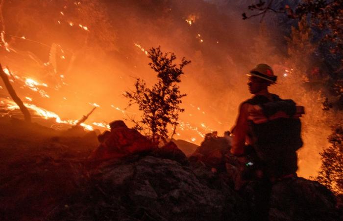 Los Angeles | Fires still untamed, death toll rises to ten