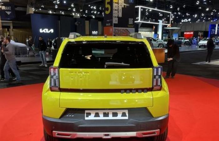 The Fiat Grande Panda is a star at the Brussels Motor Show