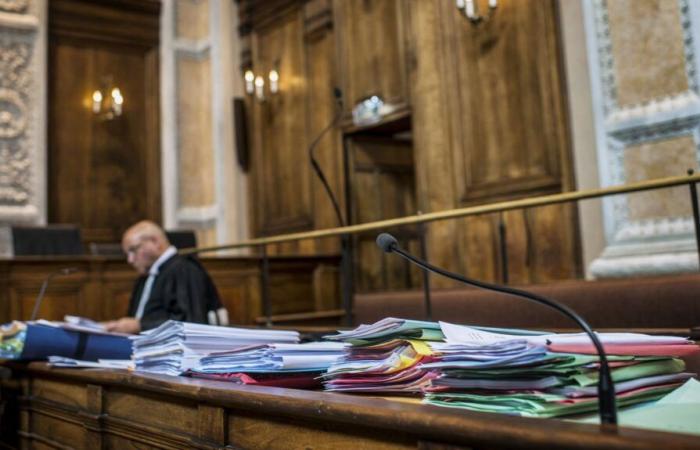 Are 4,000 criminal cases awaiting trial in France?