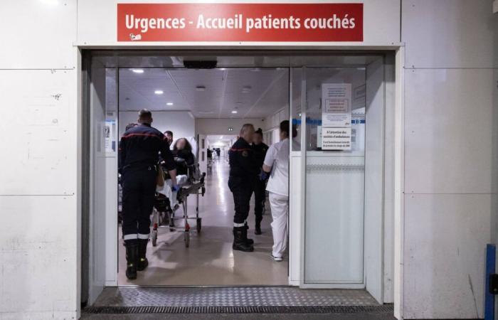 Cracked rib, fracture… Annemasse hospital emergency rooms closed after violent attack