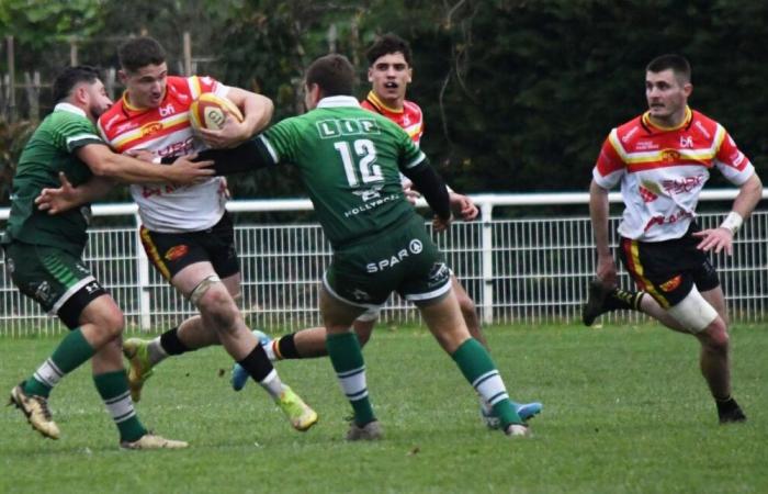 Rugby (Federal 2). The Villeneuvois want to avoid indigestion in the face of Malemort